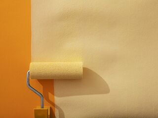 Auszubildende*r zum/zur Malerin und Lackierer*in