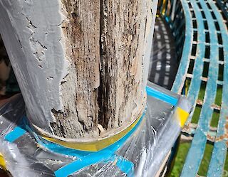 Aufspachteln eines Holzstammes